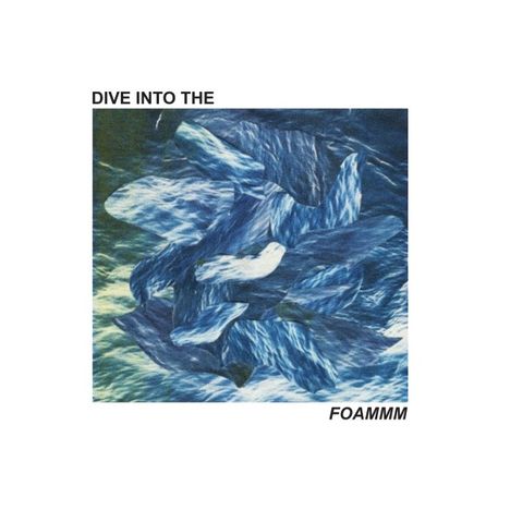 Foammm: Dive Into the FOAMMM, LP