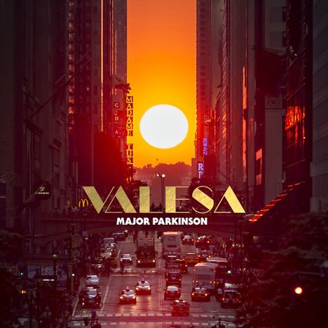 Major Parkinson: Valesa (Limited Edition) (Black Vinyl), 2 LPs