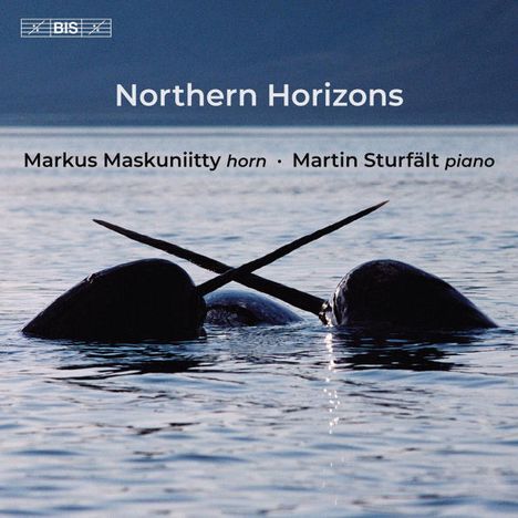 "Northern Horizons" mit Narwalen im Wasser, die ihre Stoßzähne kreuzen. Markus Maskuniitty und Martin Sturfält.