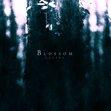 Lustre: Blossom, CD
