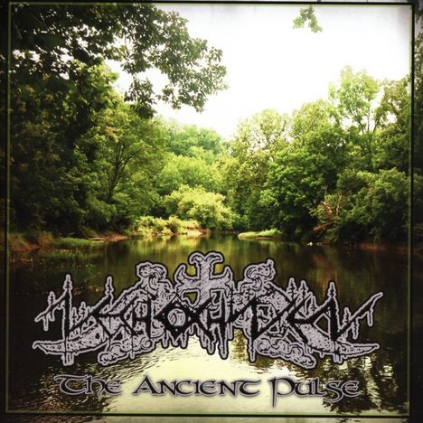 Nechochwen: The Ancient Pulse, CD