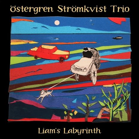 Östergren Stromkvist Trio: Liam's Labyrinth, CD