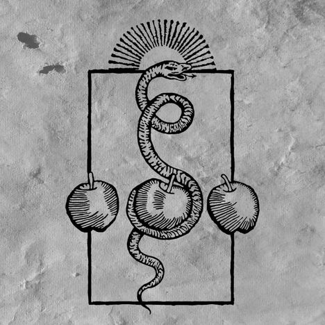 Eine Illustration: Eine Schlange windet sich durch drei Äpfel, oberhalb scheint eine Sonne mit Strahlen hervor.