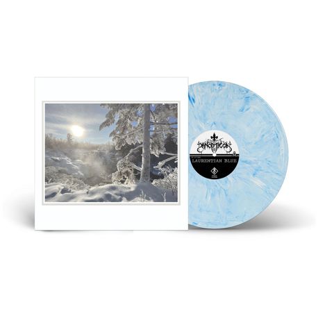 Text: "LAURENTIAN BLUE". Illustration einer winterlichen Landschaft mit Schnee und einem Baum neben einer blauen Schallplatte.