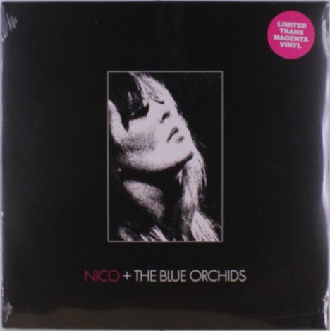 Text: "NICO + THE BLUE ORCHIDS" unten. Oben rechts steht "LIMITED TRANS MAGENTA VINYL". Schwarz-weißes Porträt einer Frau.