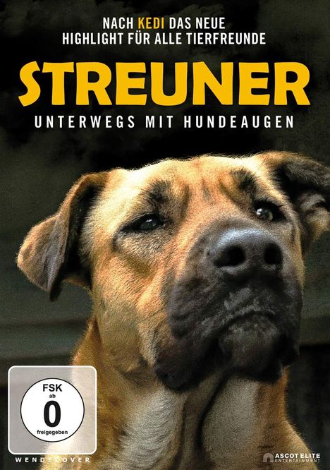 Streuner - Unterwegs mit Hundeaugen, DVD