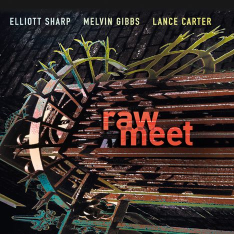 Elliott Sharp (geb. 1951): Raw Meet, CD