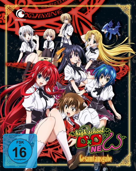 Highschool DxD New Staffel 2 (Gesamtausgabe), 4 DVDs