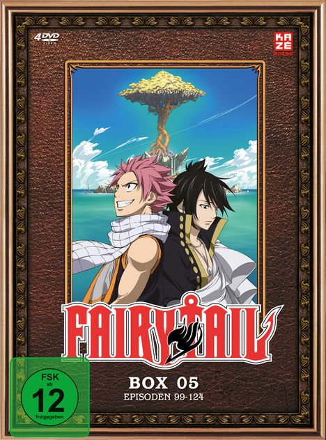 Fairy Tail Box 5, 4 DVDs