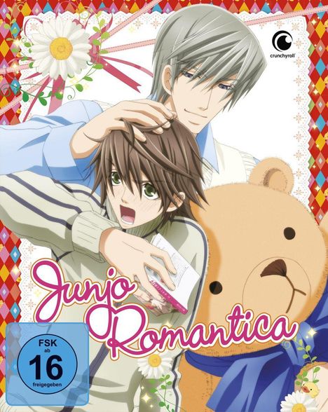 Junjo Romantica Vol. 1 (mit Sammelschuber), DVD