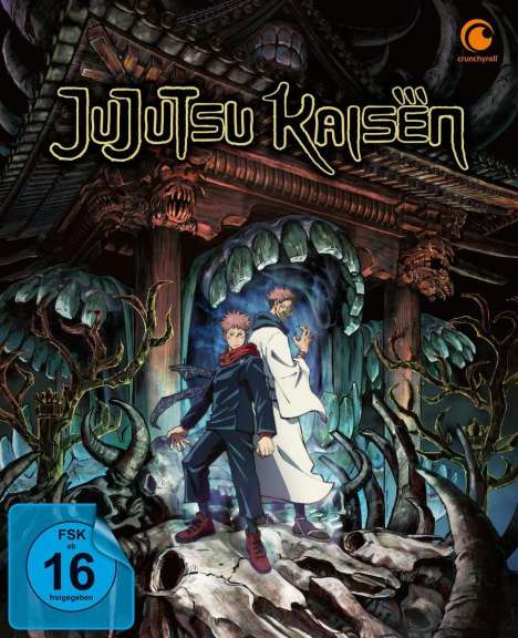 Jujutsu Kaisen Staffel 1 Vol. 1 (mit Sammelschuber), DVD