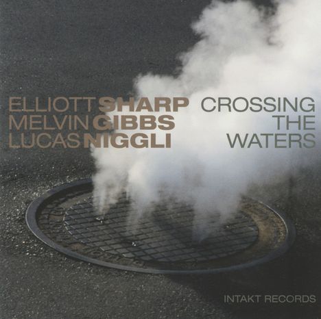 Elliott Sharp, Melvin Gibbs &amp; Lucas Niggli: Crossing The Waters, CD