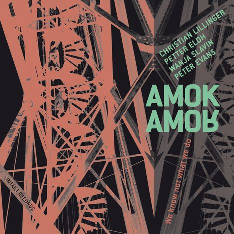 Eldh, Lillinger, Slavin &amp; Evans: Amok Amor, CD