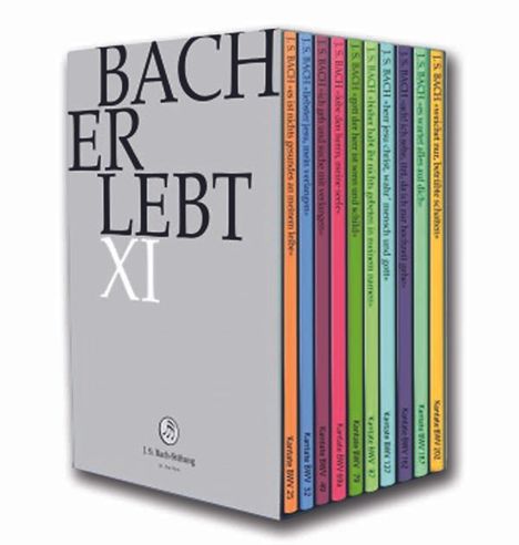 Johann Sebastian Bach (1685-1750): Bach-Kantaten-Edition der Bach-Stiftung St.Gallen "Bach erlebt XI" - Das Bach-Jahr 2017, 11 DVDs