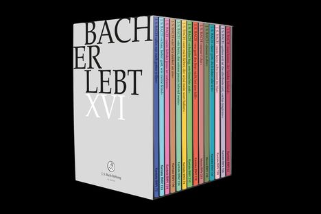 Johann Sebastian Bach (1685-1750): Bach-Kantaten-Edition der Bach-Stiftung St.Gallen "Bach erlebt XVI" - Das Bach-Jahr 2023, 14 DVDs