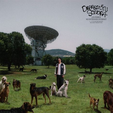 Depresion Sonora: Los Perros No Entienden Internet, CD