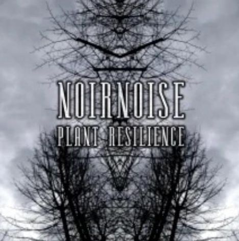 NOIRNOISE PLANT RESILIENCE. Symmetrische, schwarz-weiße Baum-Silhouette vor einem dramatischen, wolkigen Himmel.