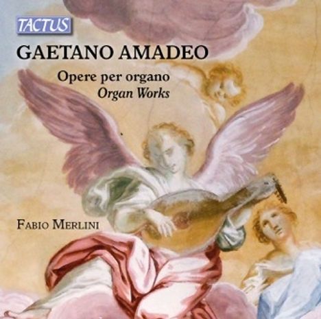 Gaetano Amadeo (1824-1893): Orgelwerke, CD