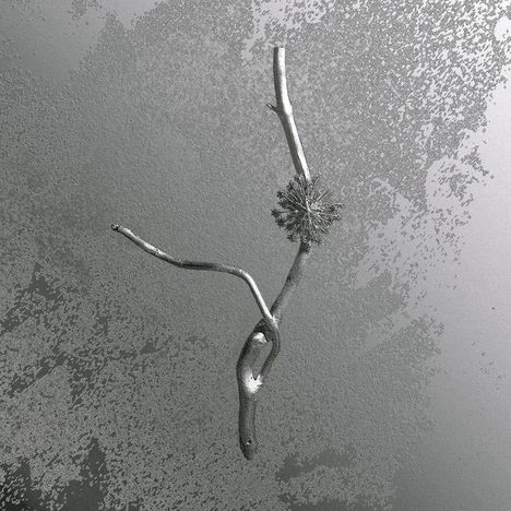 Ein kahler Ast mit einer kleinen, kugeligen Blüte vor einer strukturierten, grauen Hintergrundfläche.