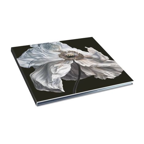 Eine realistische Illustration einer weißen Blume mit feinen, gewellten Blütenblättern auf schwarzem Hintergrund.
