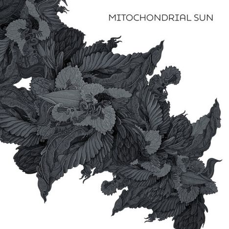 Mitochondrial Sun: Mitochondrial Sun, CD