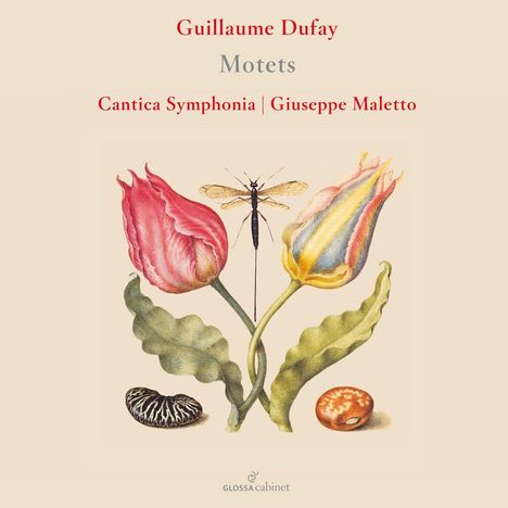 Guillaume Dufay (1400-1474): Motetten, CD