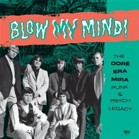 Blow My Mind! The Doré - Era - Mira Punk &amp; Psych Legacy, 2 LPs