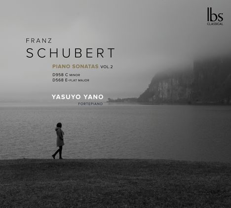 Franz Schubert (1797-1828): Klaviersonaten Vol.2, CD