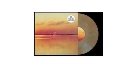 Andy Shauf: Norm (Limited Edition) (Eco-Mix Colored Vinyl), LP