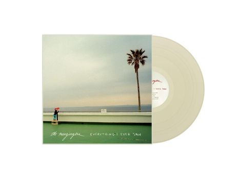 Text: "everything I ever saw", "the menzingers". Eine Schallplatte mit einem Cover, das eine Palme und eine Person am Geländer zeigt.