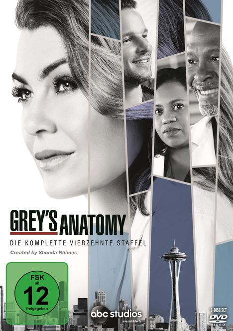 Grey's Anatomy Staffel 14, 6 DVDs