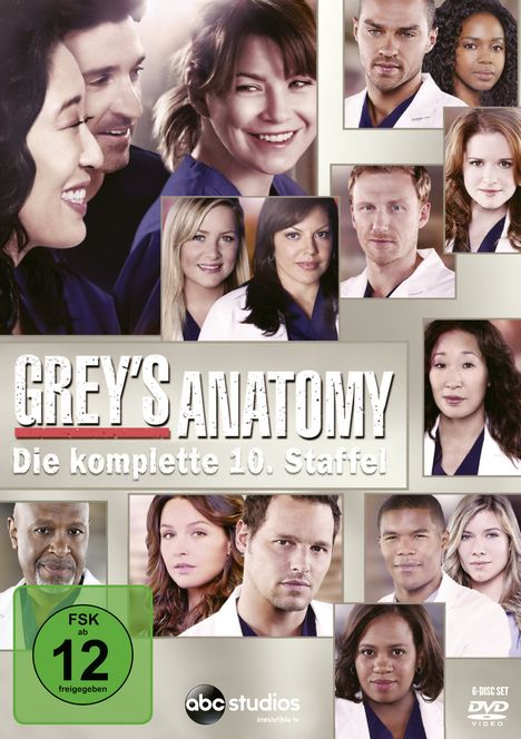 Grey's Anatomy Staffel 10, 6 DVDs