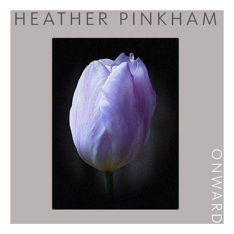 "Heather Pinkham", "Onward". Nahaufnahme einer violetten Tulpe auf schwarzem Hintergrund.