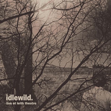 idlewild. live at leith theatre

Eine schwarz-weiße Aufnahme von Ästen vor einem Feld und Sonnenlicht.