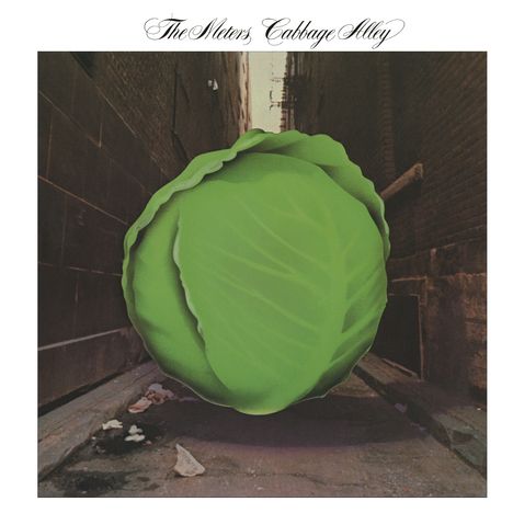 "The Meters, Cabbage Alley" über einem großen grünen Kohl in einer engen, schattigen Gasse.