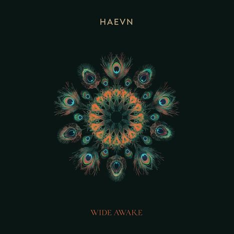 Haevn: Wide Awake, CD