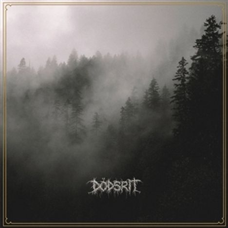 DÖDSRIT in nebligem Wald mit Tannenbäumen. Dunkle, mystische Atmosphäre.
