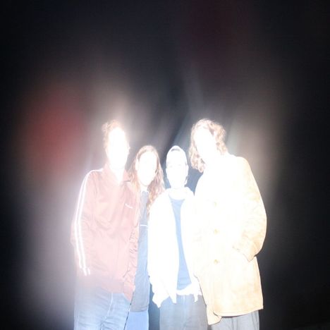 Manic Youth: Perfect Health, LP