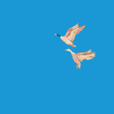 N.I.K.O.: Hallo & Ciao, LP
