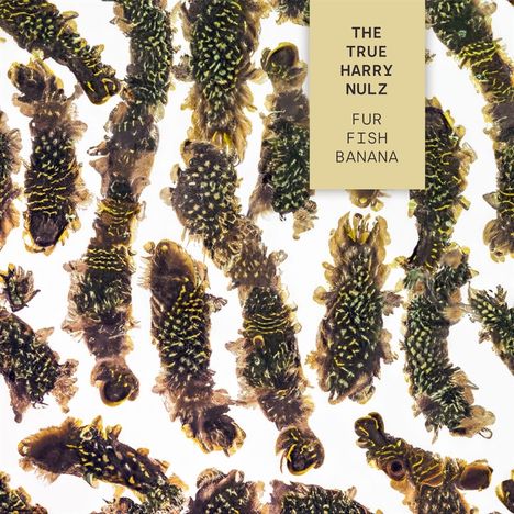 The True Harry Nulz: Fur Fish Banana, CD