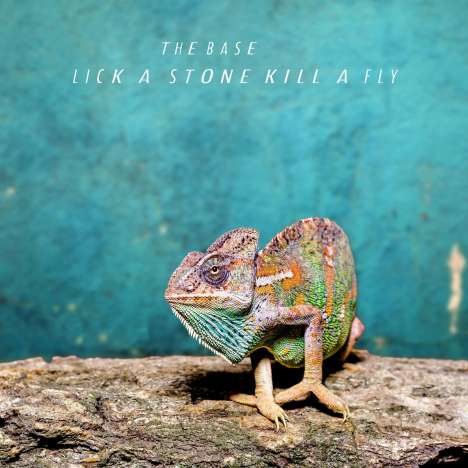 The Base: Lick A Stone Kill A Fly, 1 LP und 1 CD