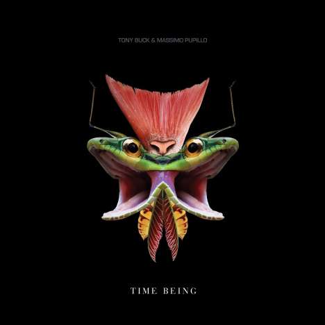 Tony Buck &amp; Massimo Pupillo: Time Being, LP