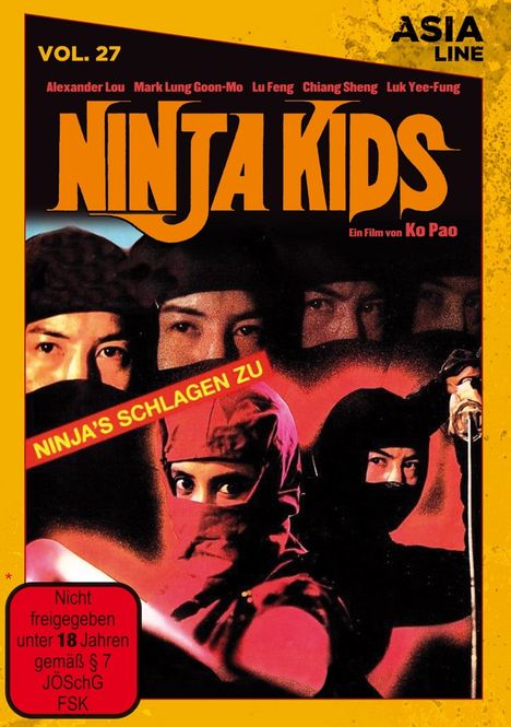 Ninja Kids, DVD