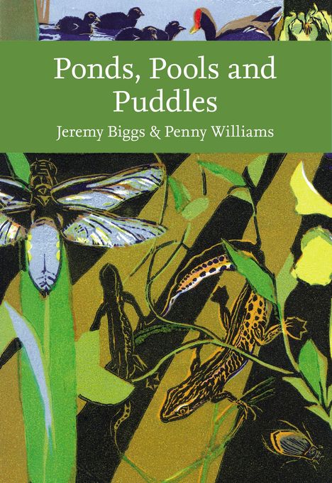 Jeremy Biggs: Ponds, Pools and Puddles, Buch
