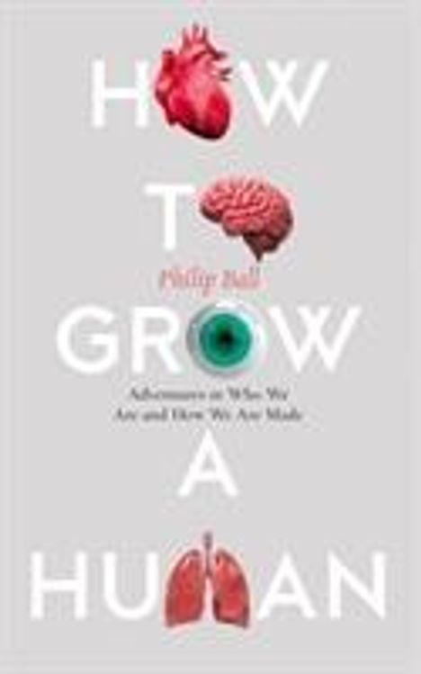 Philip Ball: Ball, P: How to Grow a Human, Buch