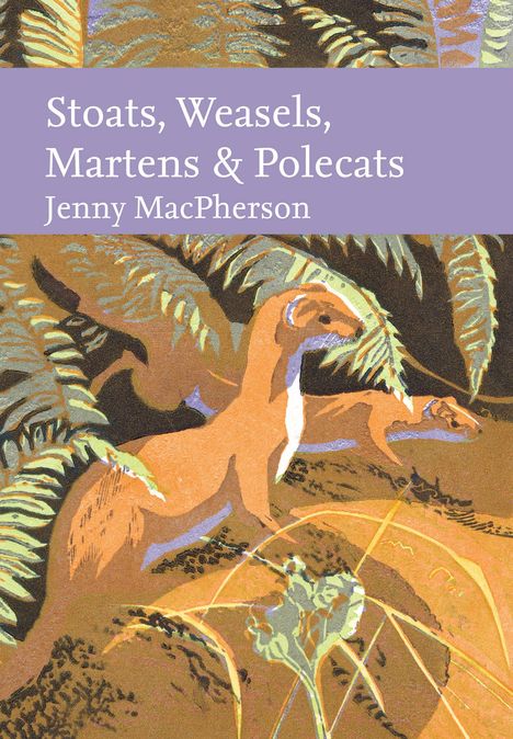 Jenny MacPherson: Small Mustelids, Buch