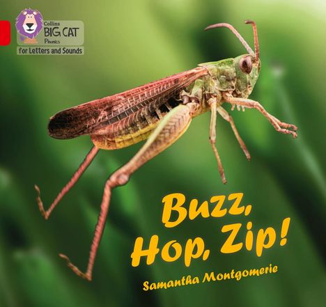 Samantha Montgomerie: Montgomerie, S: Buzz, Hop, Zip!, Buch