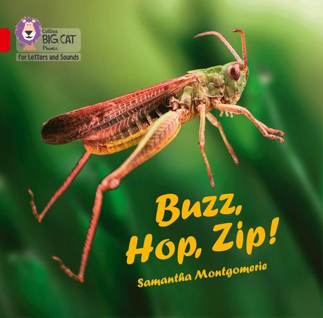 Samantha Montgomerie: Buzz, Hop, Zip! Big Book, Buch