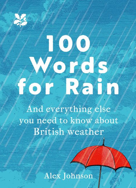 Alex Johnson: 100 Words for Rain, Buch