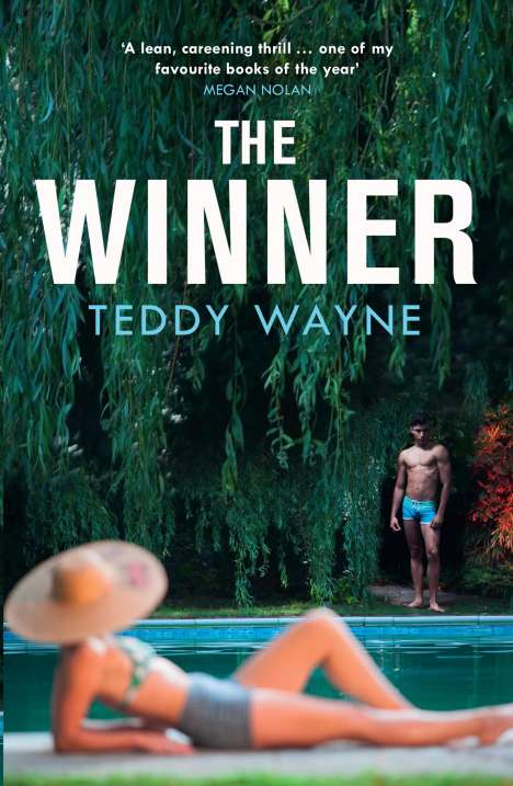 Teddy Wayne: The Winner, Buch